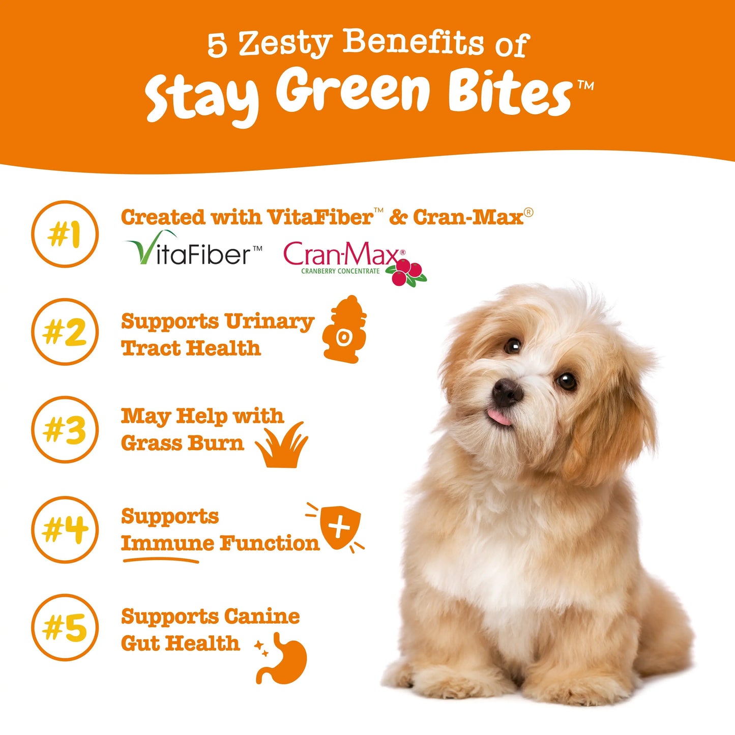 Zesty Paws Stay Green Bites Vitamin for Dogs Chicken Flavor Soft Chews with Probiotic & Vitafiber for Urinary & Gut Health 90 Count
