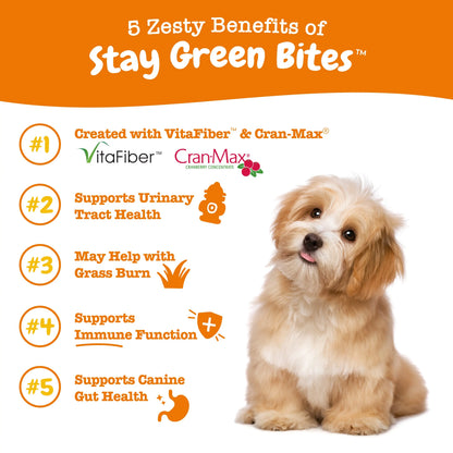 Zesty Paws Stay Green Bites Vitamin for Dogs Chicken Flavor Soft Chews with Probiotic & Vitafiber for Urinary & Gut Health 90 Count