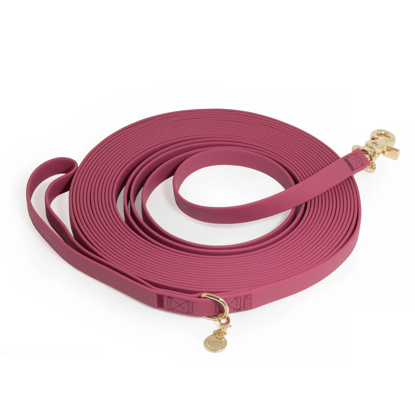 Waterproof Cloud 30 Ft Dog Leash for Dog Training