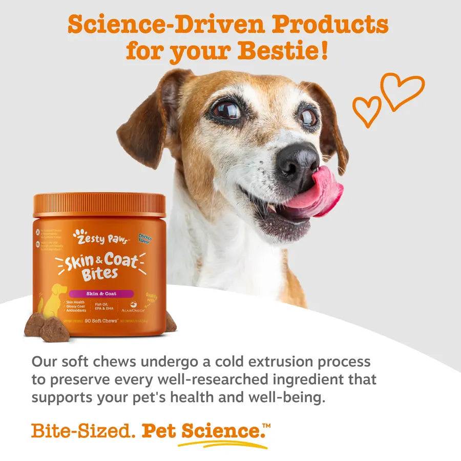 Zesty Paws Skin & Coat Bites for Dogs Soft Chew Treats with Omega 3 Fish Oil EPA & DHA for Skin Coat Health Vitamin Supplement