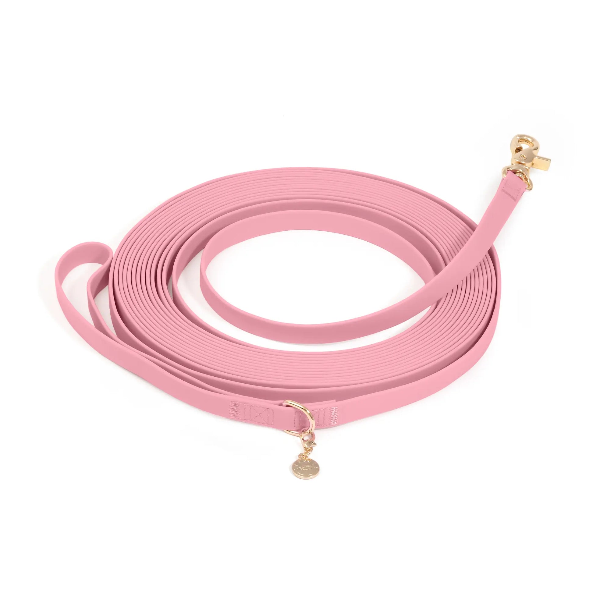 Waterproof Cloud 30 Ft Dog Leash for Dog Training