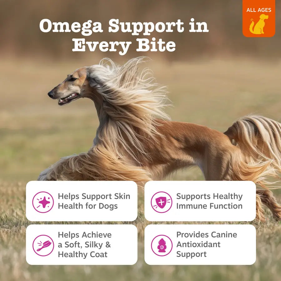 Zesty Paws Skin & Coat Bites for Dogs Soft Chew Treats with Omega 3 Fish Oil EPA & DHA for Skin Coat Health Vitamin Supplement