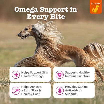 Zesty Paws Skin & Coat Bites for Dogs Soft Chew Treats with Omega 3 Fish Oil EPA & DHA for Skin Coat Health Vitamin Supplement