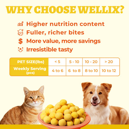 Wellix Freeze Dried Quail Egg Yolks for Dogs & Cats High-Protein Treats Supports Skin Coat Health Natural Training Snacks