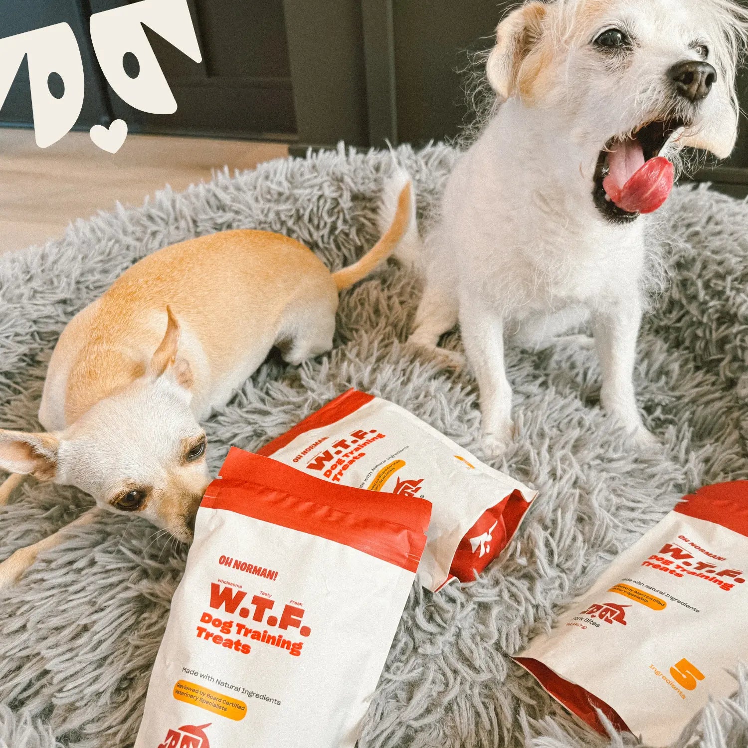 OH NORMAN! W.T.F. Dog Training Treats – Soft Pork Bites for Puppies, Seniors & All Dogs | Natural, Vet-Reviewed, 5 Ingredients Only, No Corn, Wheat, or Soy