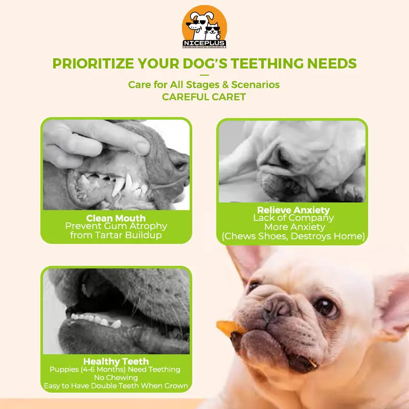 Niceplus Dog Chew Treat - Chicken Wrapped Rawhide Stick for Medium Large Dogs, Protein-Rich Cowhide Chews for Hip & Joint Health, 3Packs