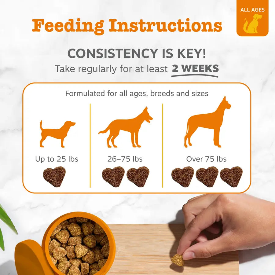 Zesty Paws Skin & Coat Bites for Dogs Soft Chew Treats with Omega 3 Fish Oil EPA & DHA for Skin Coat Health Vitamin Supplement
