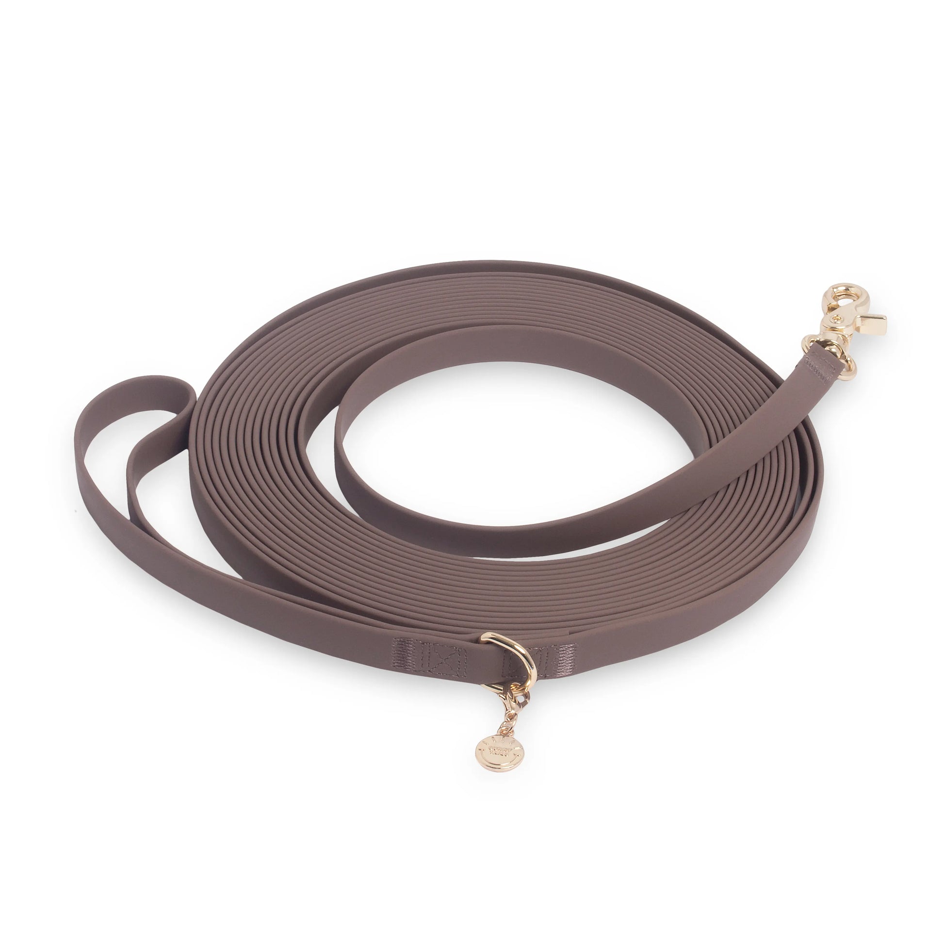 Waterproof Cloud 30 Ft Dog Leash for Dog Training