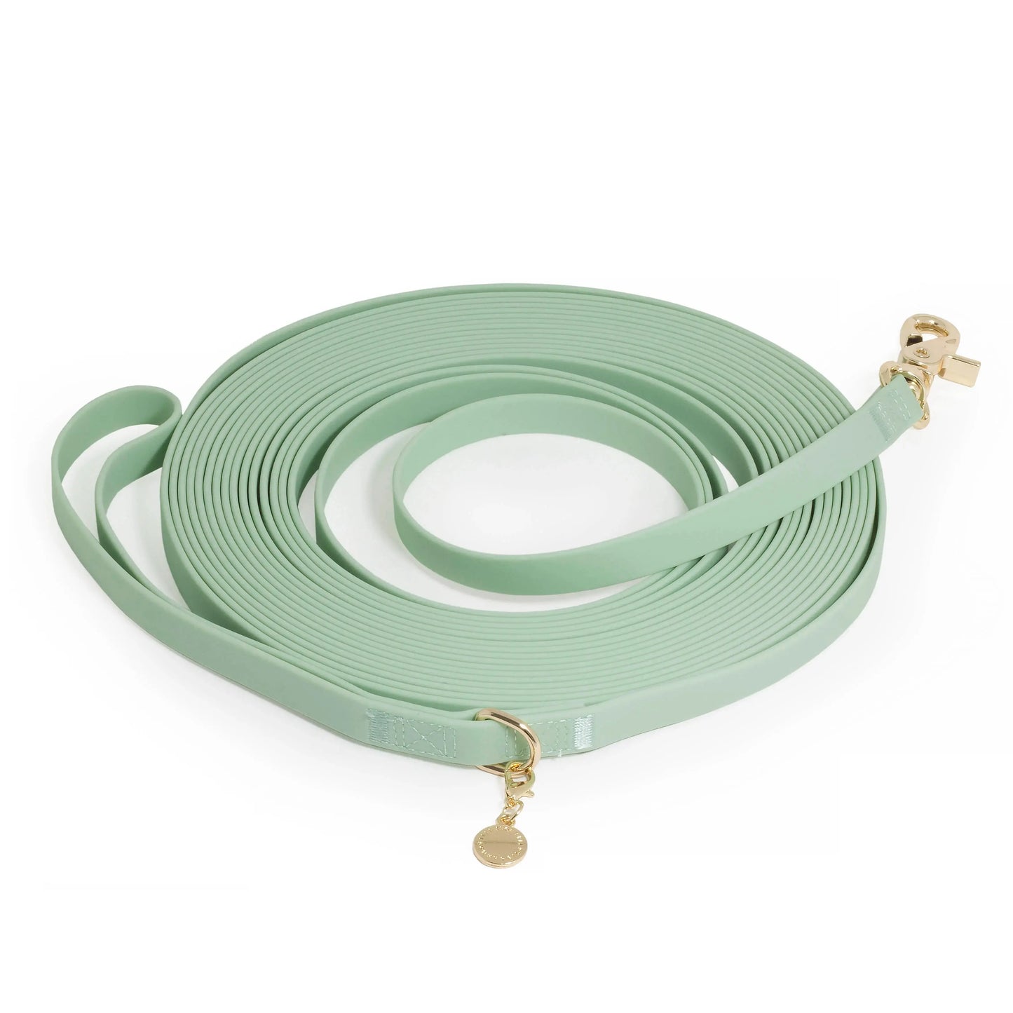 Waterproof Cloud 30 Ft Dog Leash for Dog Training