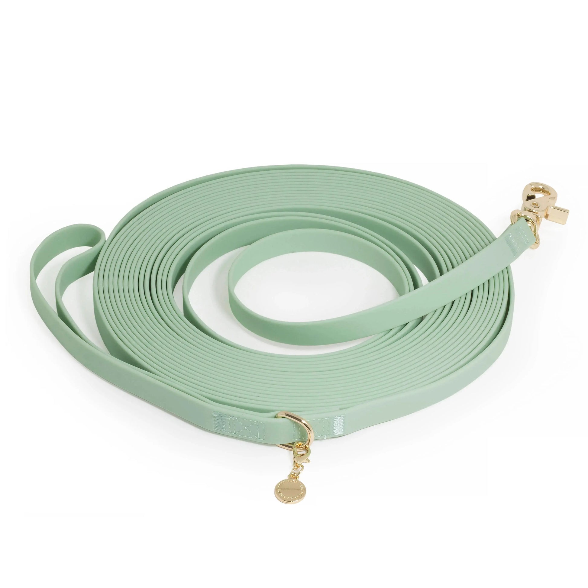 Waterproof Cloud 30 Ft Dog Leash for Dog Training