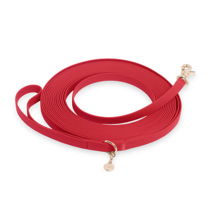 Waterproof Cloud 30 Ft Dog Leash for Dog Training