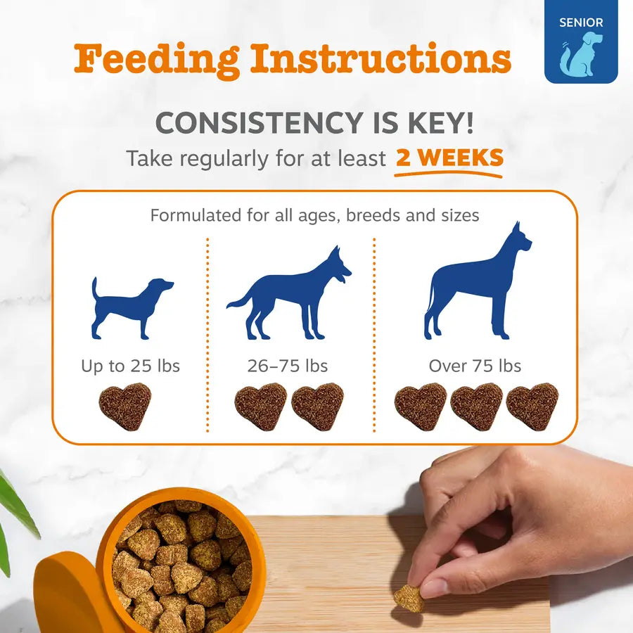 Zesty Paws Senior Advanced 11-In-1 Multivitamin Bites for Senior Dogs 90 Soft Chews per Jar Natural Chicken Flavor Nutritional Supplement