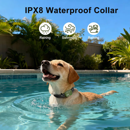 Dog Training Collar 4500FT Dog Training Behavior Aid, Remote IPX8 Waterproof with 4 Training Modes, Outdoor Rechargeable E-Collar DT61