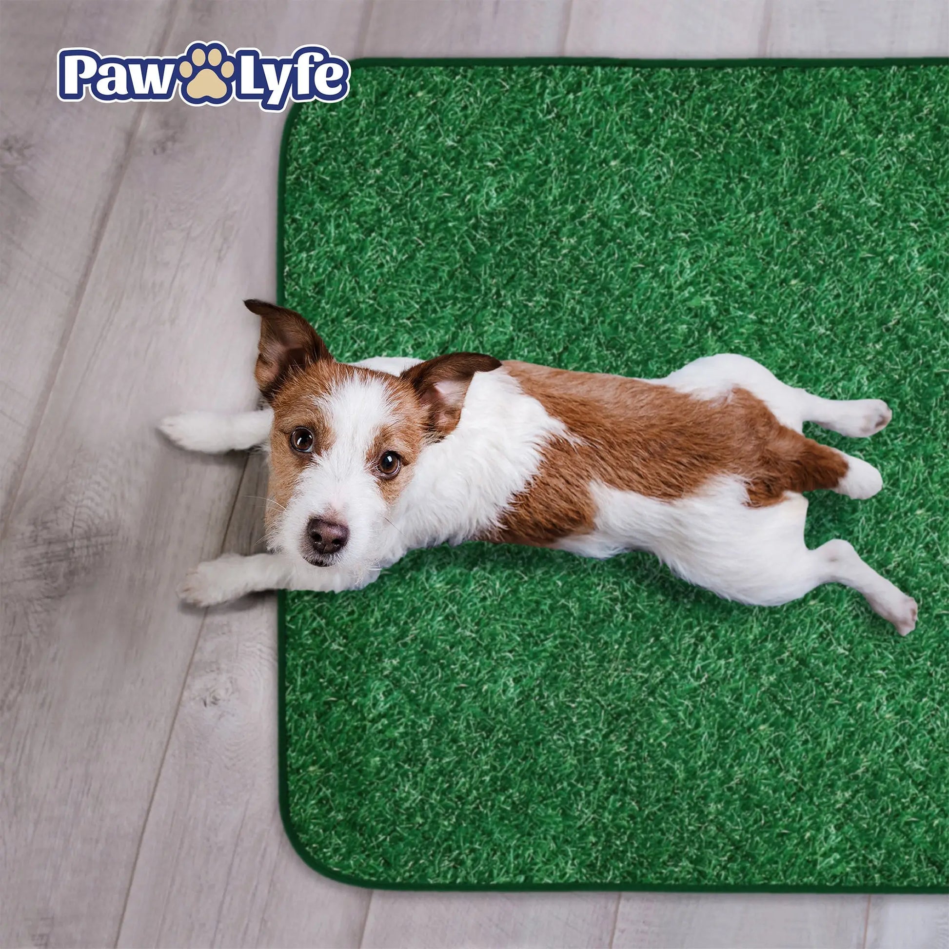 Reusable Dog Pee Pads with Grass Print Design, 2 Pads per Package Sized 30"X36" Each!