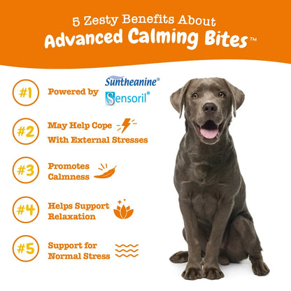 Zesty Paws Advanced Calming Bites for Dogs, Dog Composure & Relaxation Chews, Relief Soft Chew Pet Treats for Everyday Stress Support Food Natural