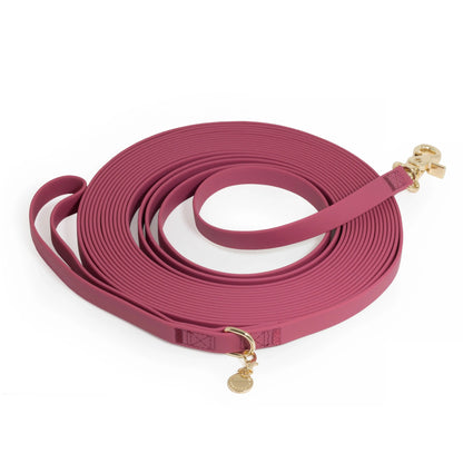 Waterproof Cloud 30 Ft Dog Leash for Dog Training
