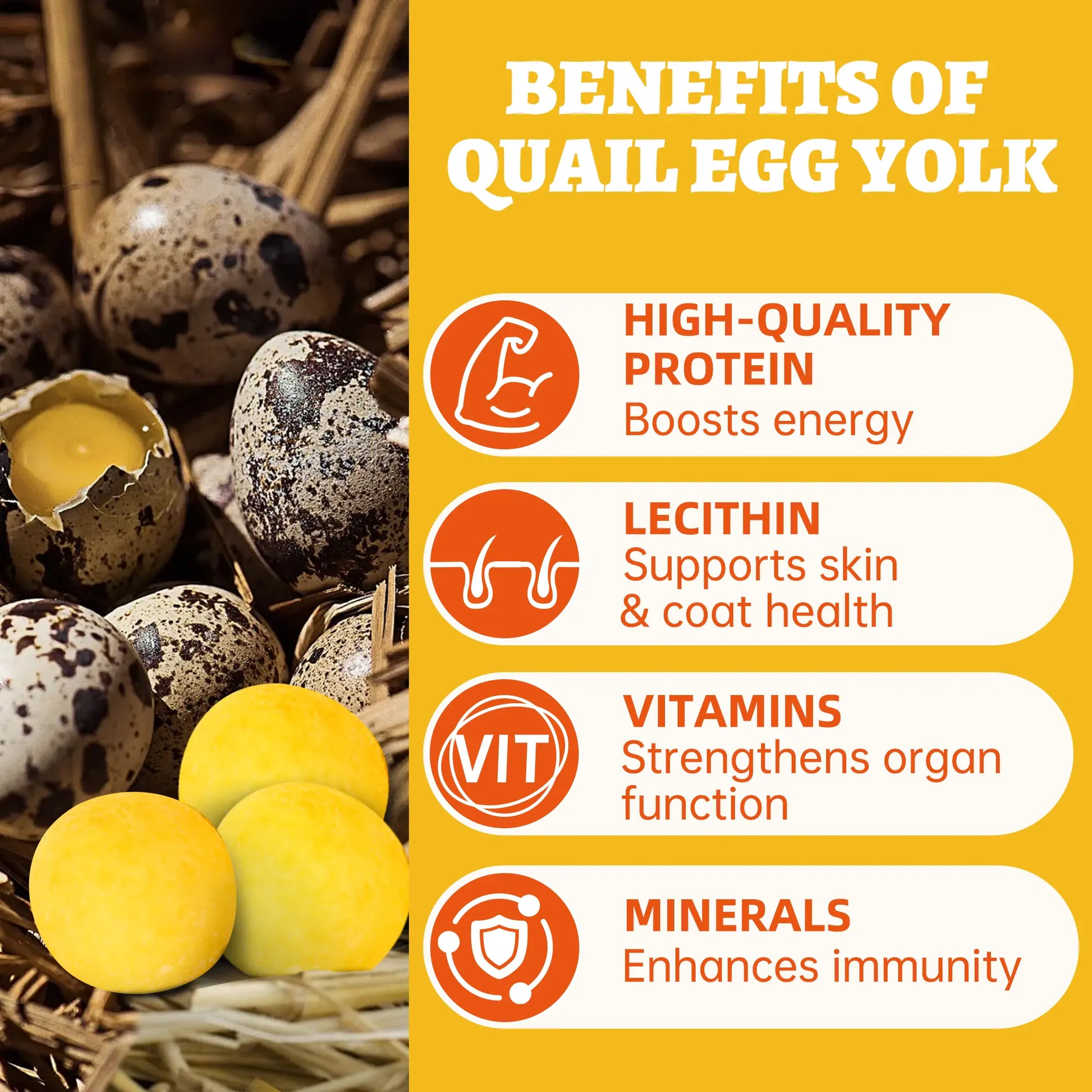Wellix Freeze Dried Quail Egg Yolks for Dogs & Cats High-Protein Treats Supports Skin Coat Health Natural Training Snacks