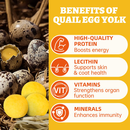 Wellix Freeze Dried Quail Egg Yolks for Dogs & Cats High-Protein Treats Supports Skin Coat Health Natural Training Snacks