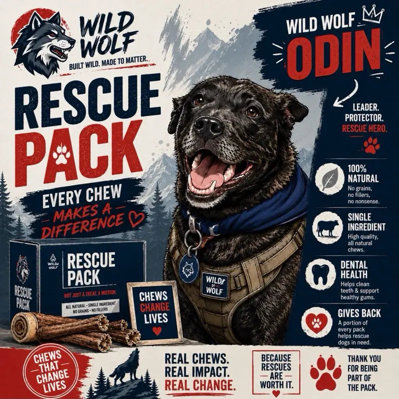 Beef Scapula Dog Chews (1 Pound) 100% Natural Free Range, Grass Fed Beef - Loaded with Glucosamine and Chondroitin to Support Joint Health