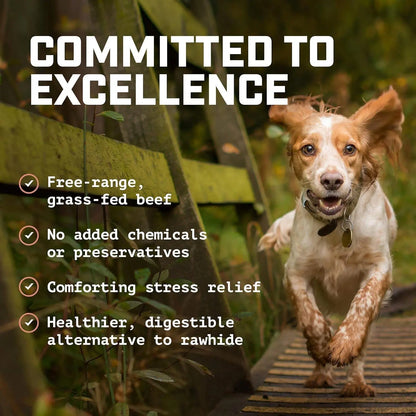 Beef Scapula Dog Chews (1 Pound) 100% Natural Free Range, Grass Fed Beef - Loaded with Glucosamine and Chondroitin to Support Joint Health