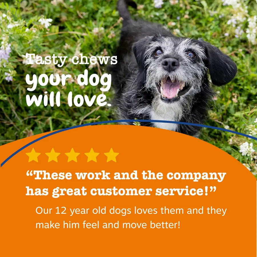 Zesty Paws Senior Advanced 11-In-1 Multivitamin Bites for Senior Dogs 90 Soft Chews per Jar Natural Chicken Flavor Nutritional Supplement