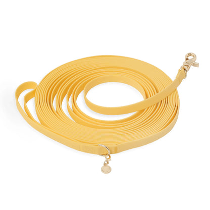 Waterproof Cloud 30 Ft Dog Leash for Dog Training