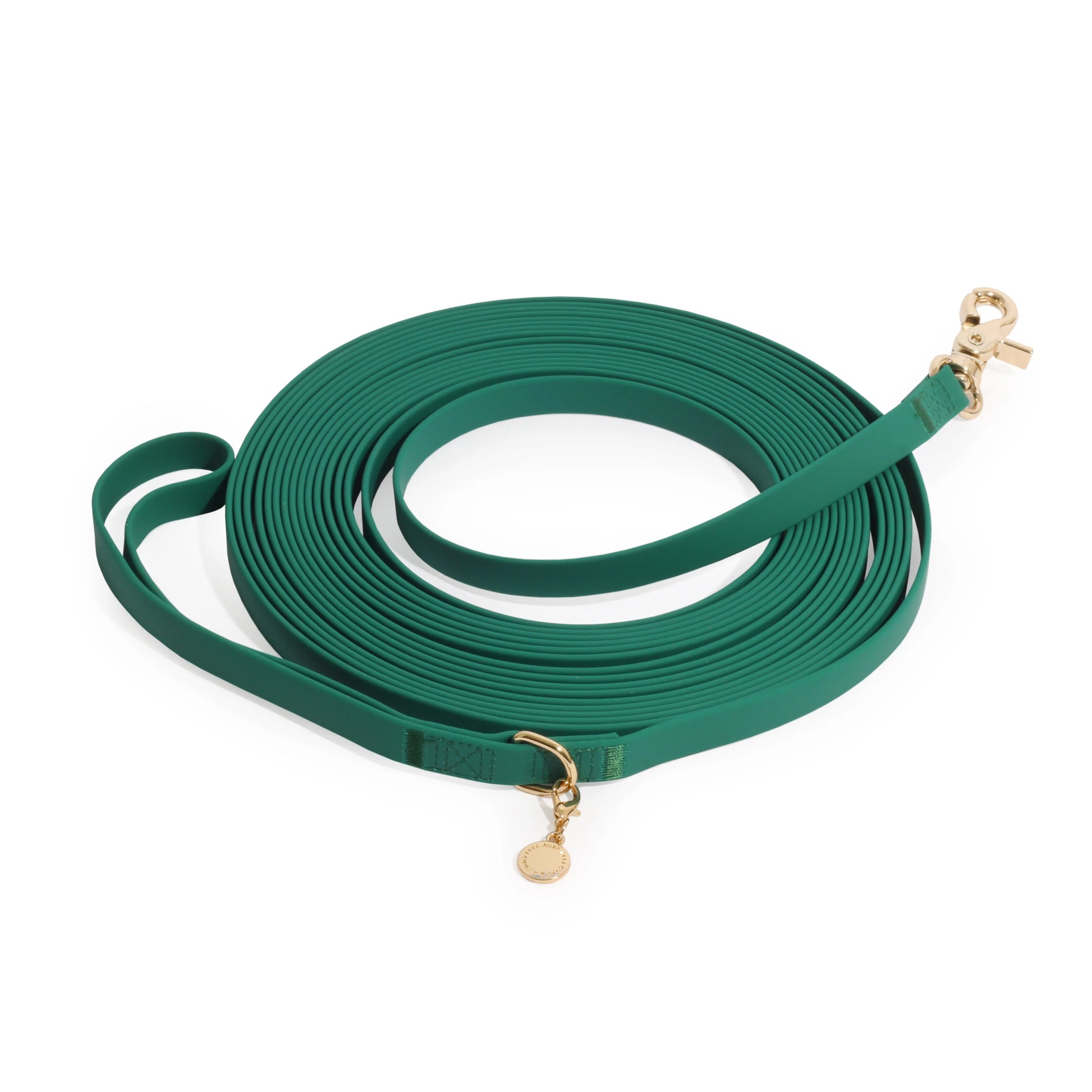 Waterproof Cloud 30 Ft Dog Leash for Dog Training