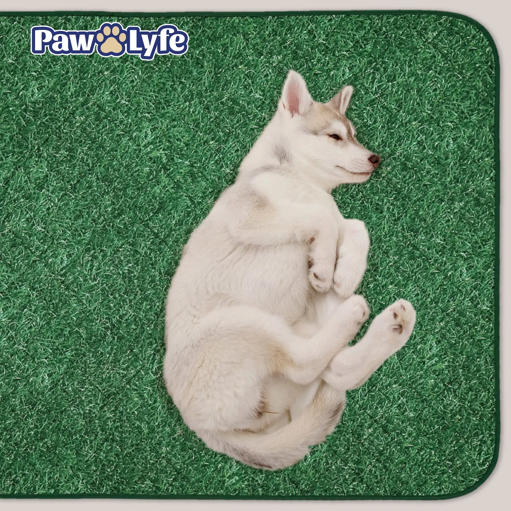 Reusable Dog Pee Pads with Grass Print Design, 2 Pads per Package Sized 30"X36" Each!