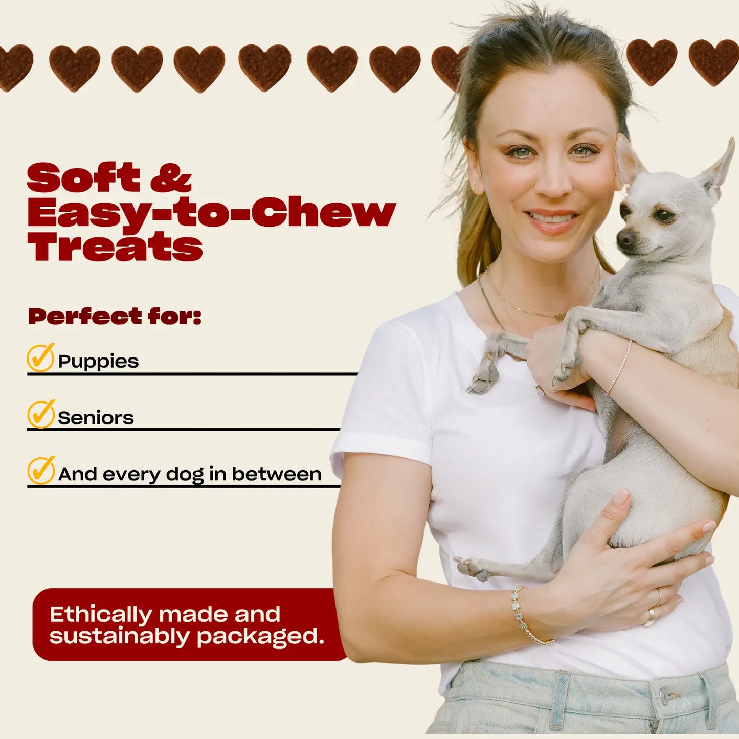 OH NORMAN! W.T.F. Dog Training Treats – Soft Pork Bites for Puppies, Seniors & All Dogs | Natural, Vet-Reviewed, 5 Ingredients Only, No Corn, Wheat, or Soy