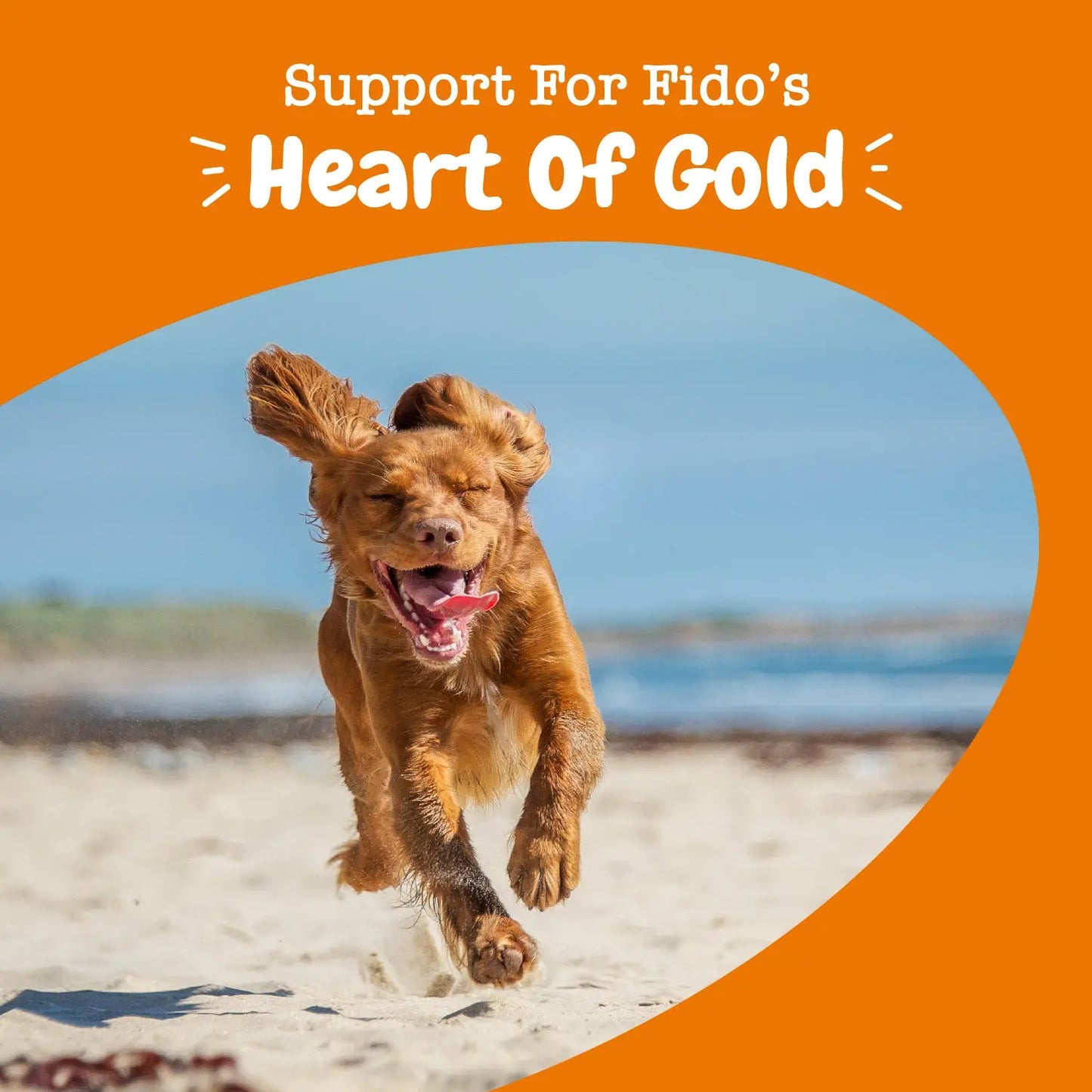 Zesty Paws Cardio Bites for Dogs, Cardiovascular Health and Circulation Support Supplement for Dogs, Omega 3 Fatty Acid Fish Oil Soft Chew Pet Treats