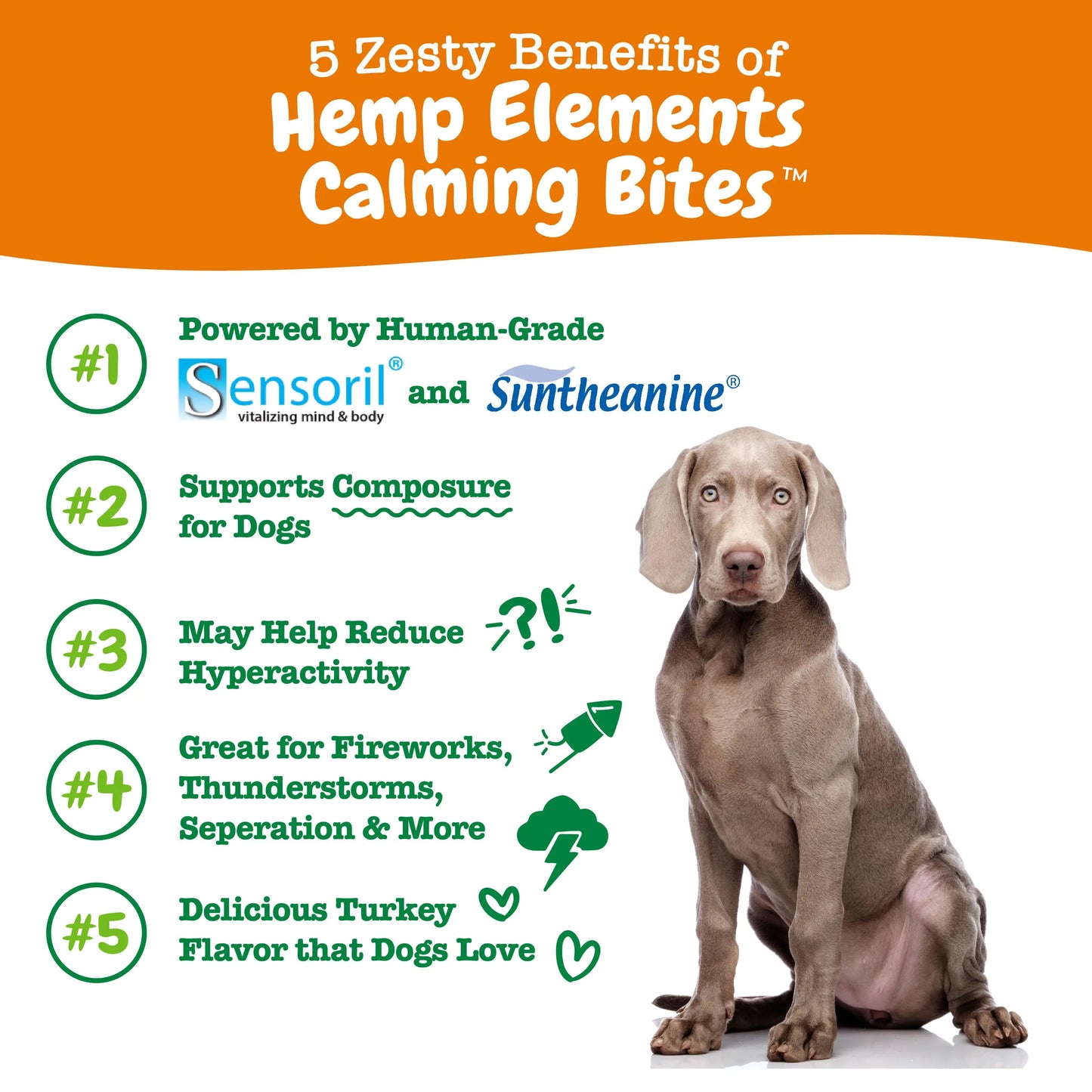 Zesty Paws Hemp Elements Calming Bites for Dogs
