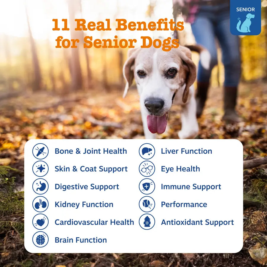 Zesty Paws Senior Advanced 11-In-1 Multivitamin Bites for Senior Dogs 90 Soft Chews per Jar Natural Chicken Flavor Nutritional Supplement