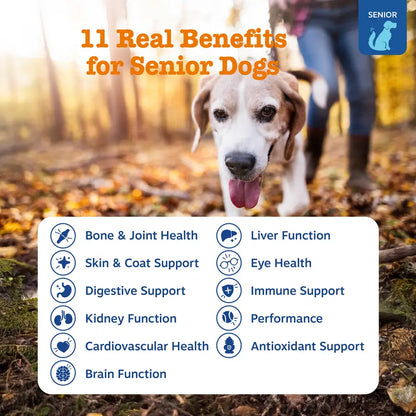 Zesty Paws Senior Advanced 11-In-1 Multivitamin Bites for Senior Dogs 90 Soft Chews per Jar Natural Chicken Flavor Nutritional Supplement