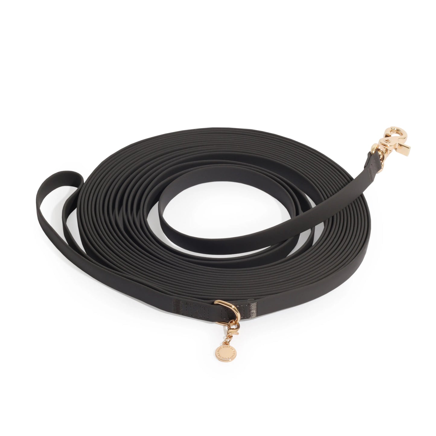 Waterproof Cloud 30 Ft Dog Leash for Dog Training