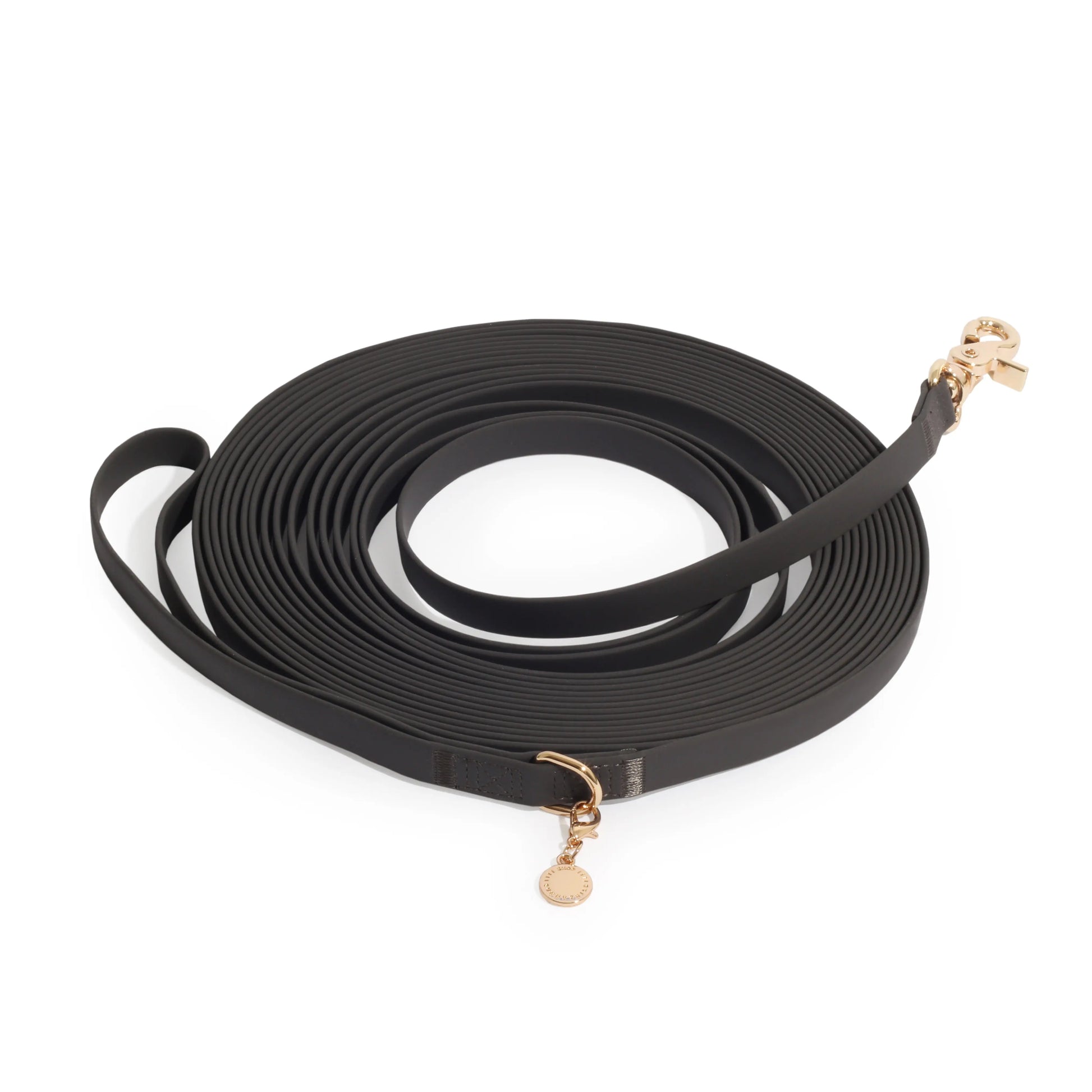 Waterproof Cloud 30 Ft Dog Leash for Dog Training