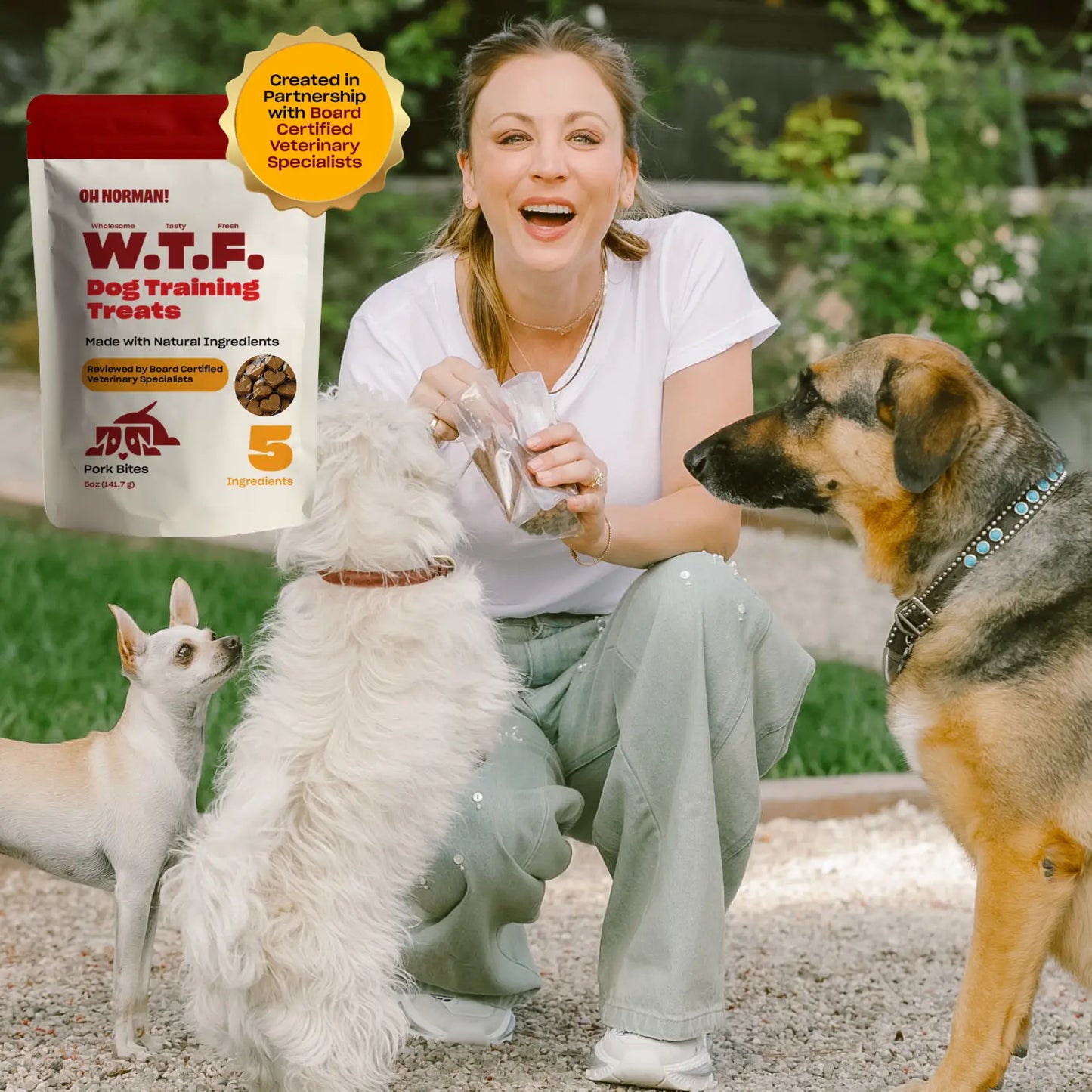 OH NORMAN! W.T.F. Dog Training Treats – Soft Pork Bites for Puppies, Seniors & All Dogs | Natural, Vet-Reviewed, 5 Ingredients Only, No Corn, Wheat, or Soy