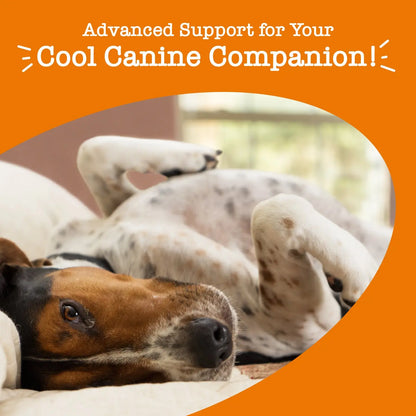 Zesty Paws Advanced Calming Bites for Dogs, Dog Composure & Relaxation Chews, Relief Soft Chew Pet Treats for Everyday Stress Support Food Natural