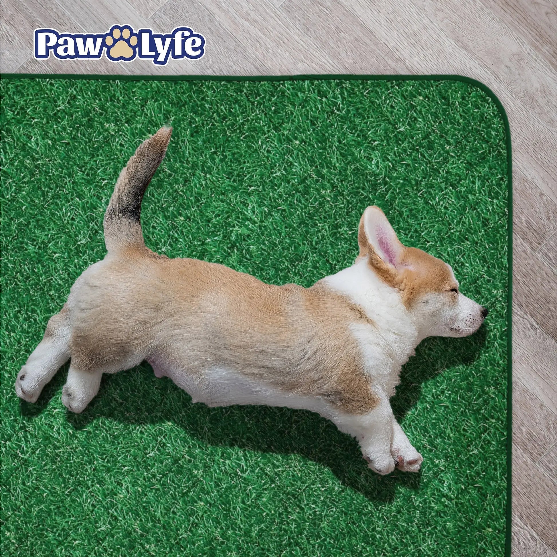 Reusable Dog Pee Pads with Grass Print Design, 2 Pads per Package Sized 30"X36" Each!