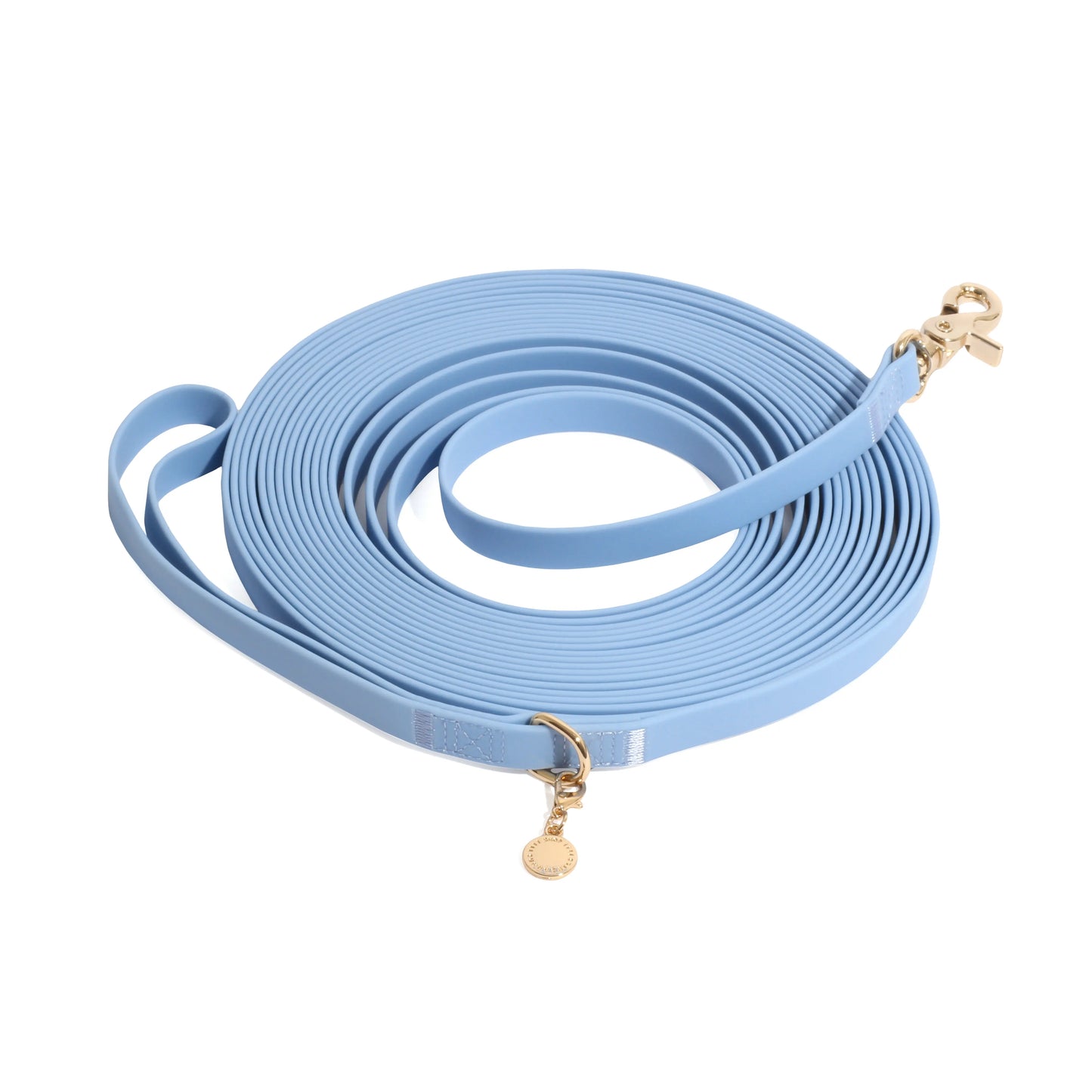 Waterproof Cloud 30 Ft Dog Leash for Dog Training