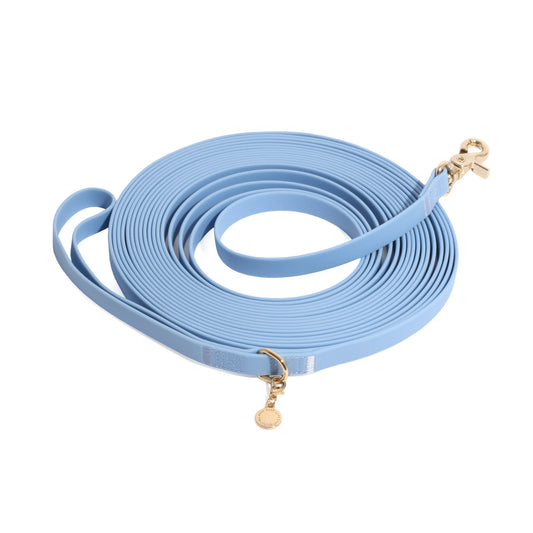 Waterproof Cloud 30 Ft Dog Leash for Dog Training